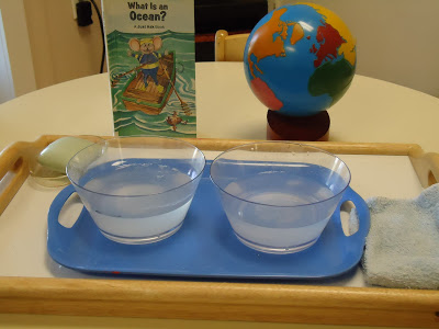 Montessori Inspired Kids Bible Activities - Saltwater v Freshwater Experiment (To The Lesson)