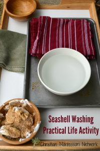 Seashell washing practical life activity, perfect for toddlers or preschoolers. ChristianMontessoriNetwork.com