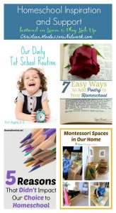 Homeschool Inspiration and Support on Learn & Play Link Up on ChristianMontessoriNetwork.com