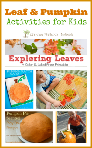 Leaf and Pumpkin Activities for Kids {Learn & Play Link Up}