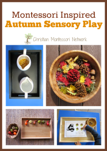 Montessori Inspired Autumn Sensory Play