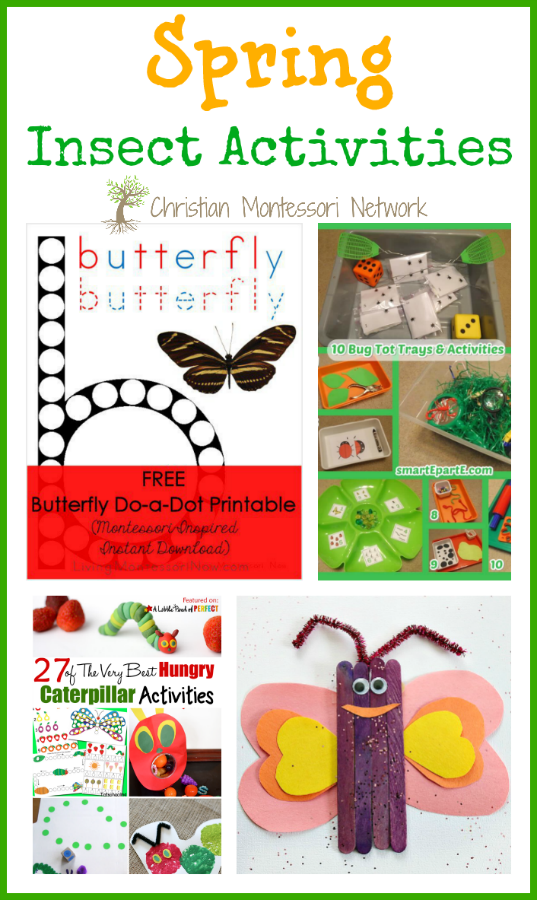 Spring Insect Activities - ChristianMontessoriNetwork.com