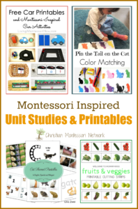 Montessori Inspired Unit Studies and Printables {Learn & Play Link Up}