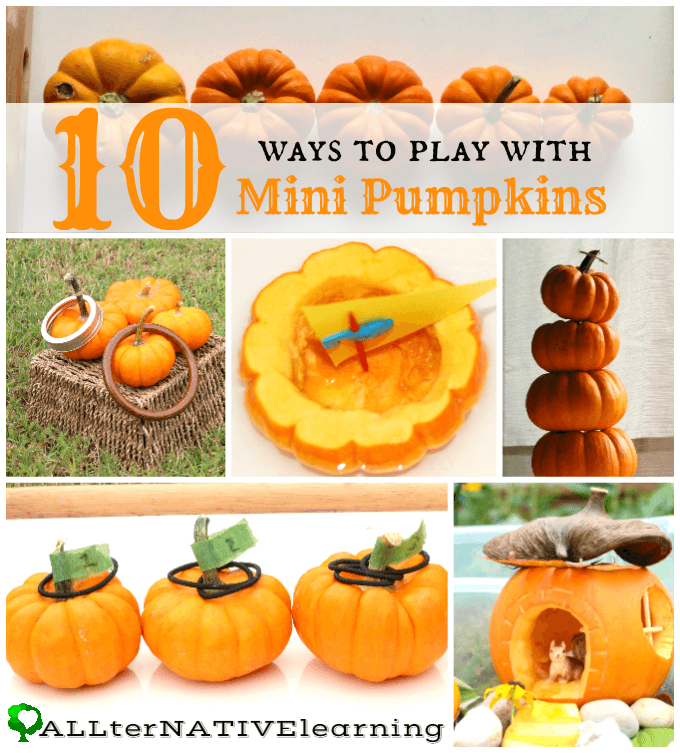 50 Montessori Inspired Pumpkin Activities Christian Montessori Network