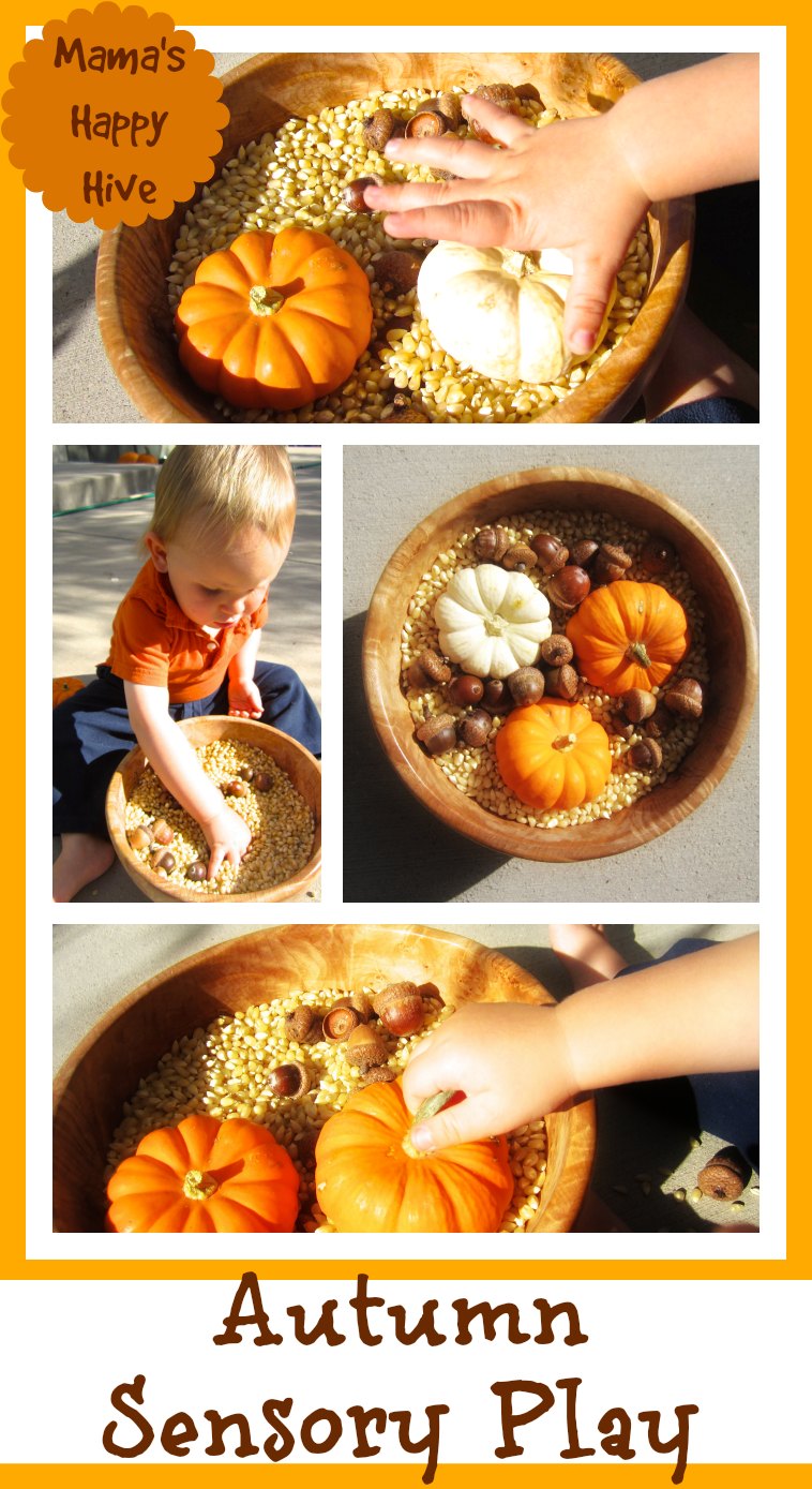 50 Montessori Inspired Pumpkin Activities Christian Montessori Network