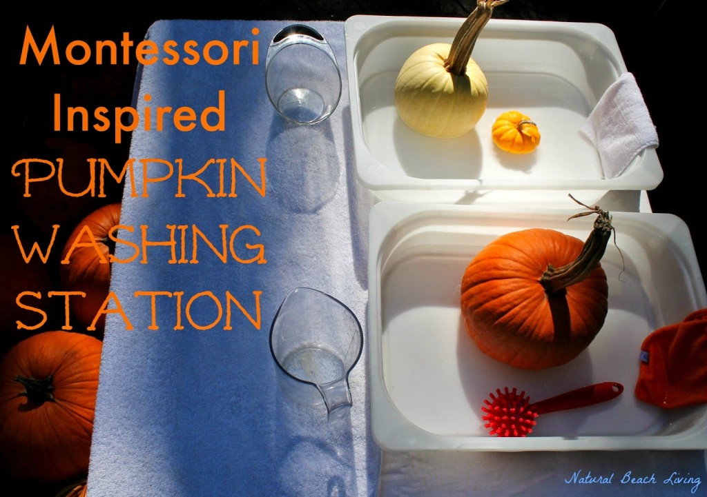 50 Montessori Inspired Pumpkin Activities Christian Montessori Network