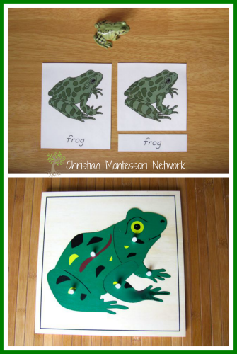 Frog Puzzle