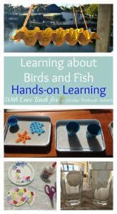 FUN hands on learning to help children understand God's creation of birds and fish by With Love Teach on ChristianMontessoriNetwork.com