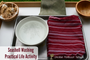 Seashell washing practical life activity, perfect for toddlers or preschoolers. ChristianMontessoriNetwork.com