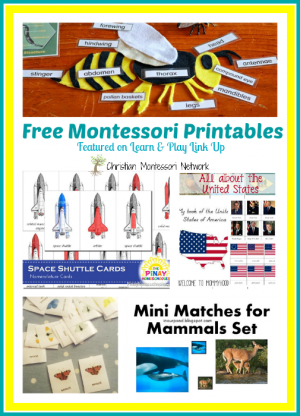Free Montessori Inspired Printables {Learn &amp; Play Link Up #12