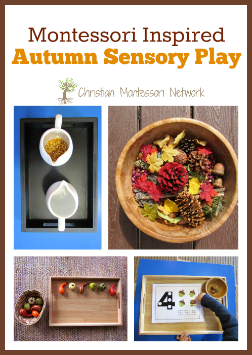 Fall Sensory Trays for Little Kids  Montessori toddler activities, Montessori  trays, Montessori