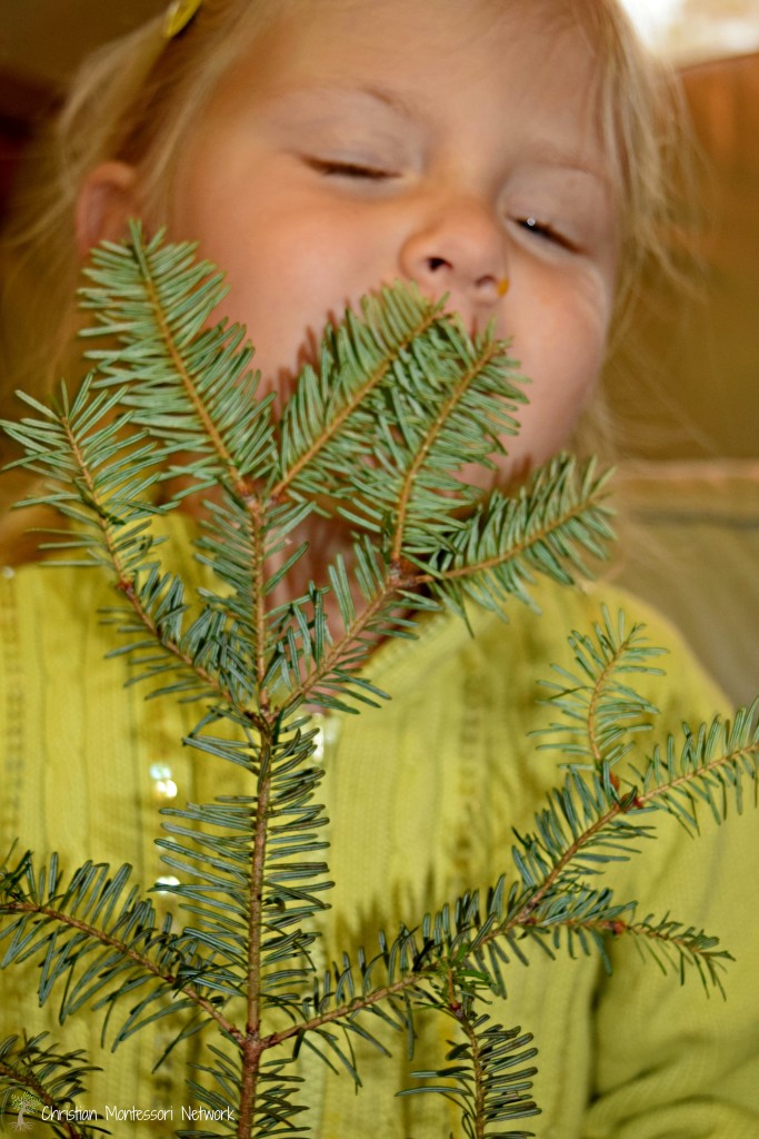 Fir Tree Learn & Discover Christian Montessori Network