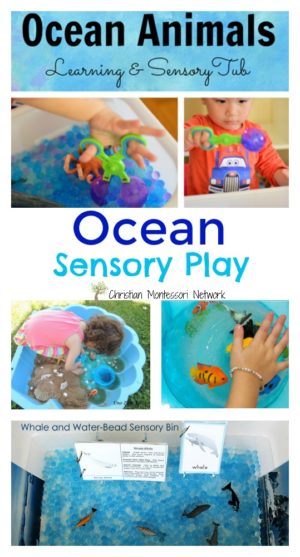 Ocean Sensory Play {Learn & Play Link Up} - Christian Montessori Network